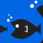 Studia la SEO per una strategia YouTube che spacca!