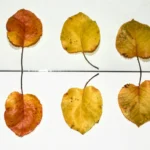 La storia della pubblicità e delle campagne che hanno cambiato il mondo